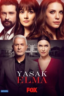 Запретный плод 2 сезон постер сериала